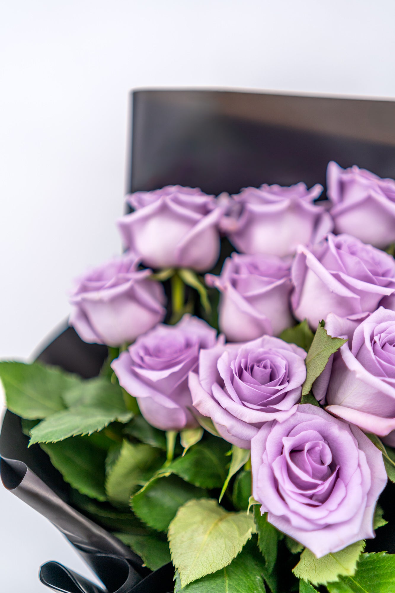 11支玫瑰 (紫色)