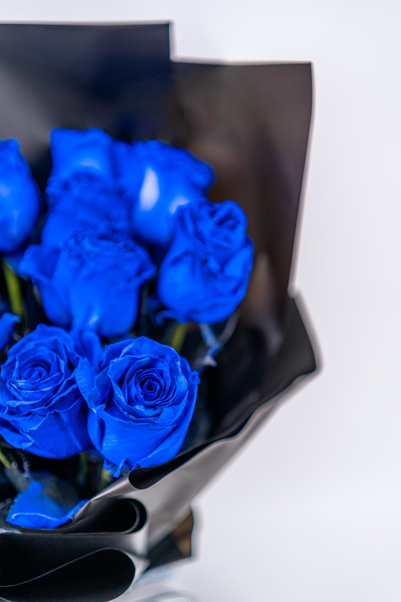 11支玫瑰 (藍色)