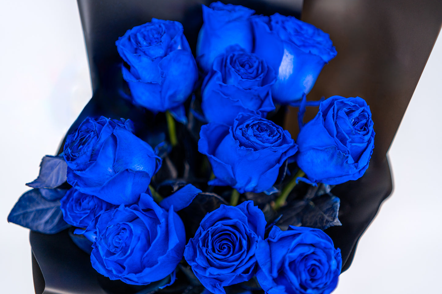 11支玫瑰 (藍色)