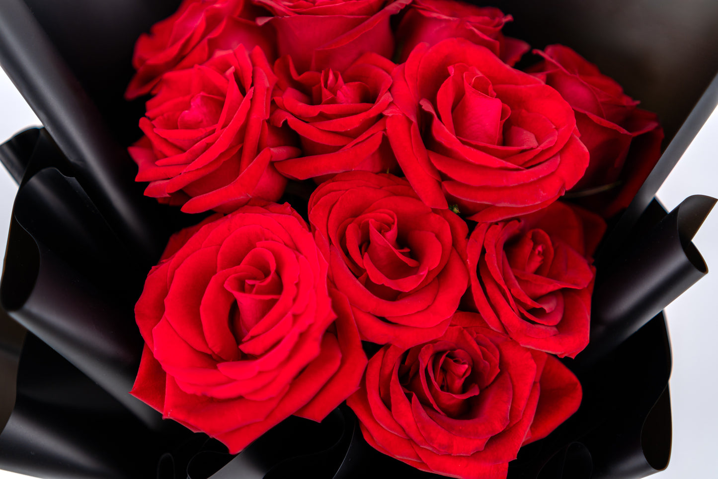 11支玫瑰 (紅色)