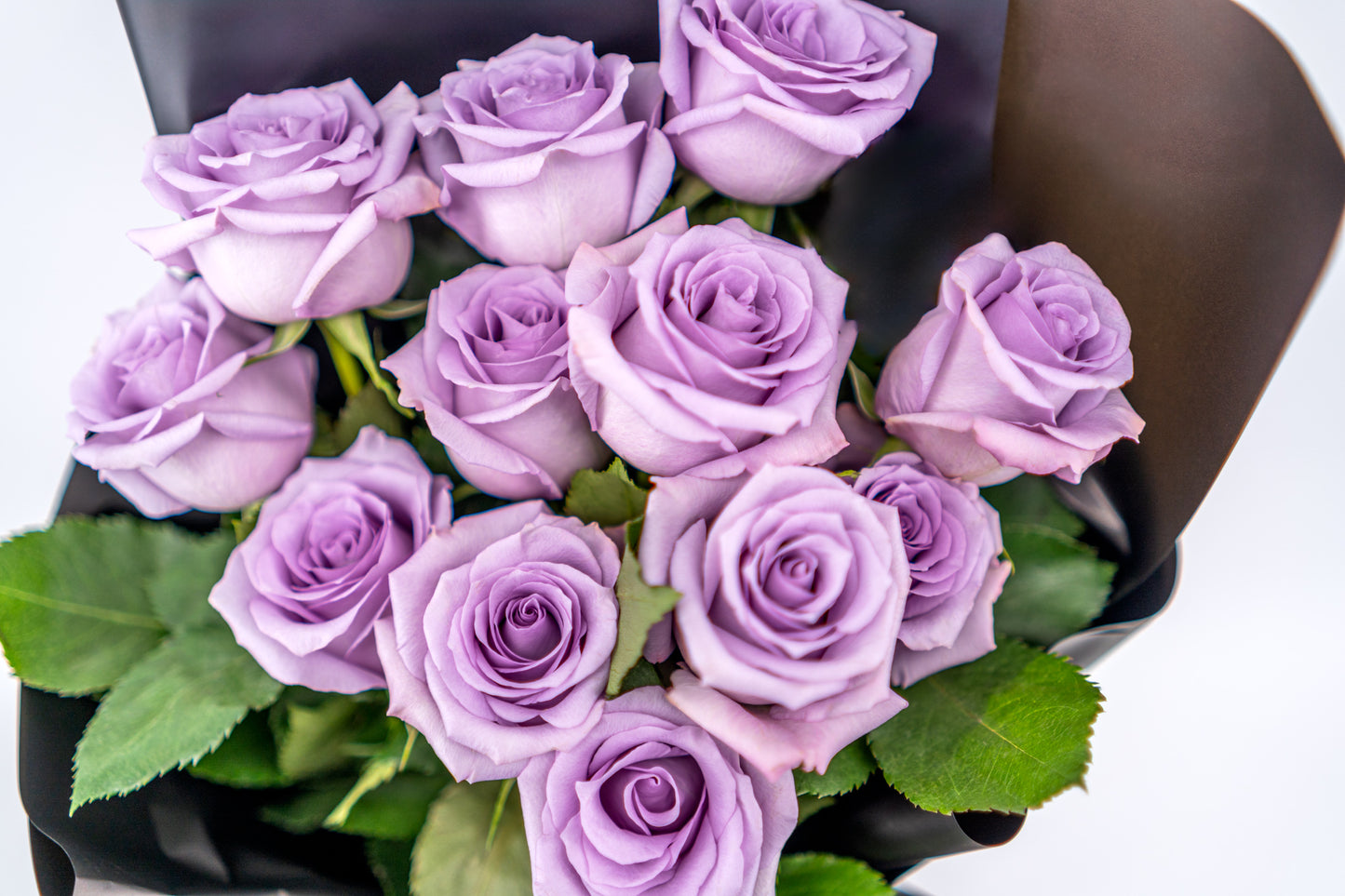 11支玫瑰 (紫色)