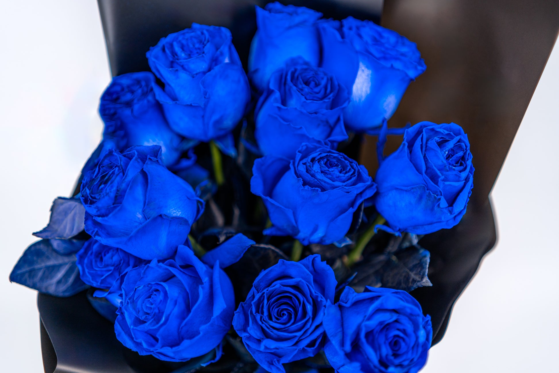 12支玫瑰 (藍色)