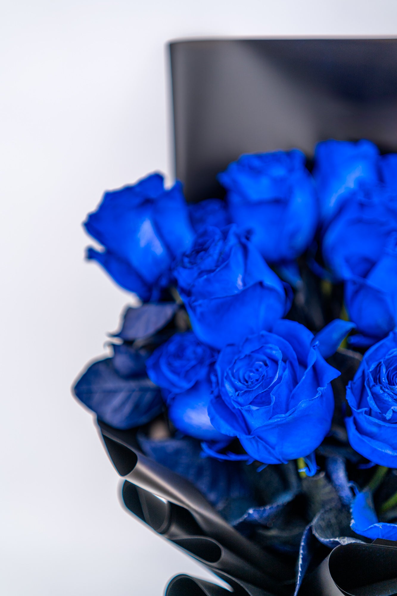 13支玫瑰 (藍色)