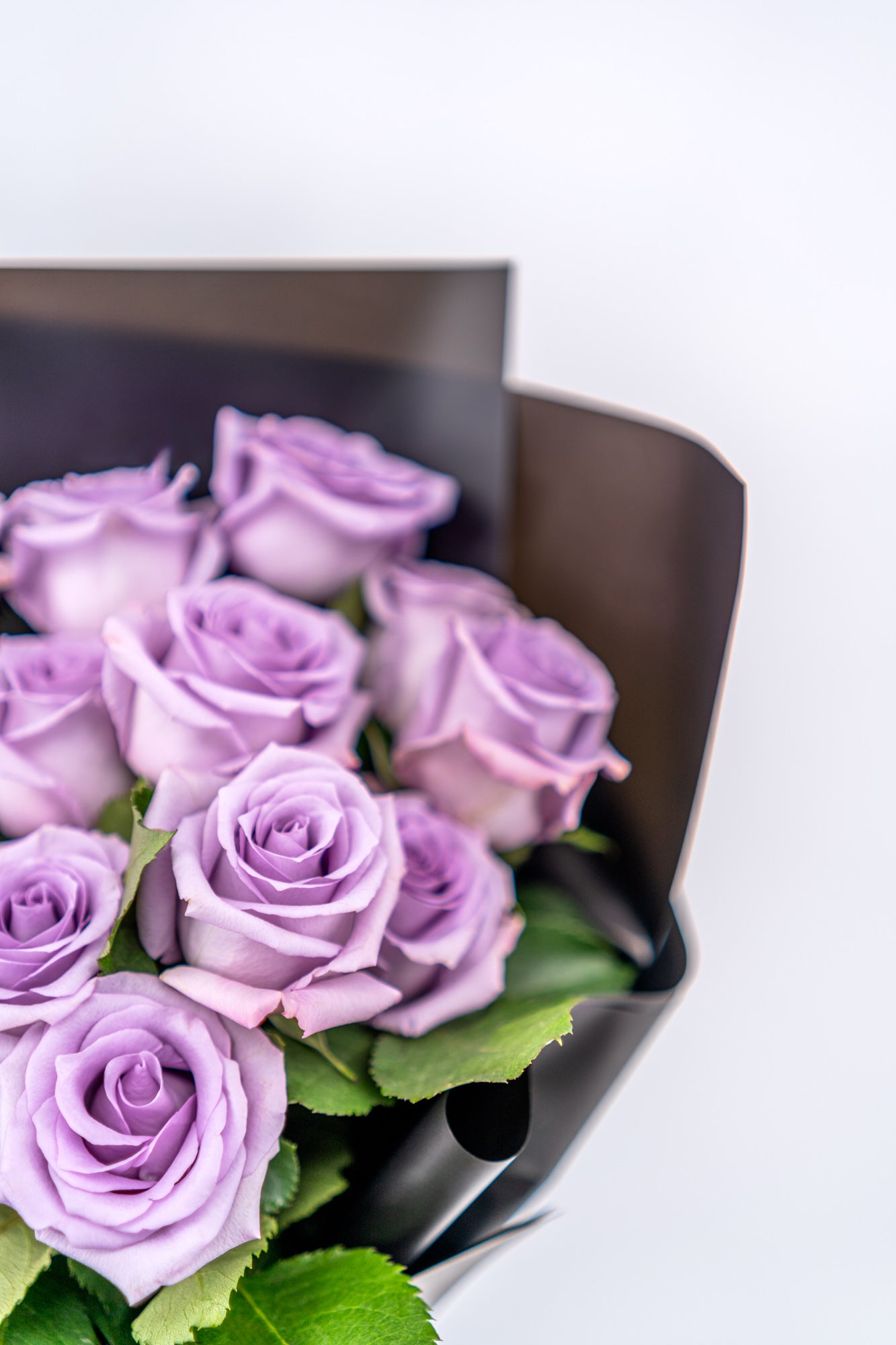 13支玫瑰 (紫色)