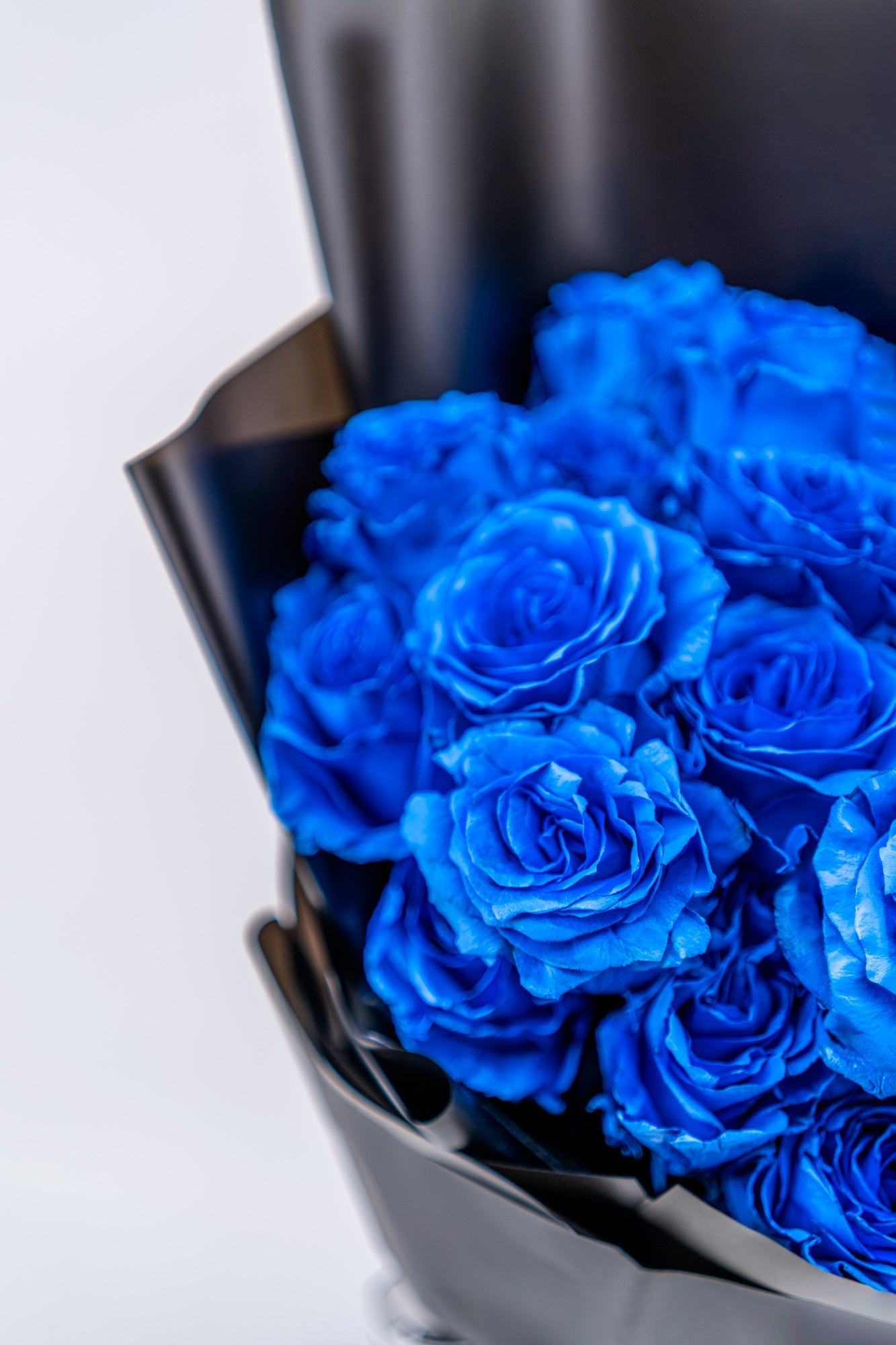 18支玫瑰 (藍色)