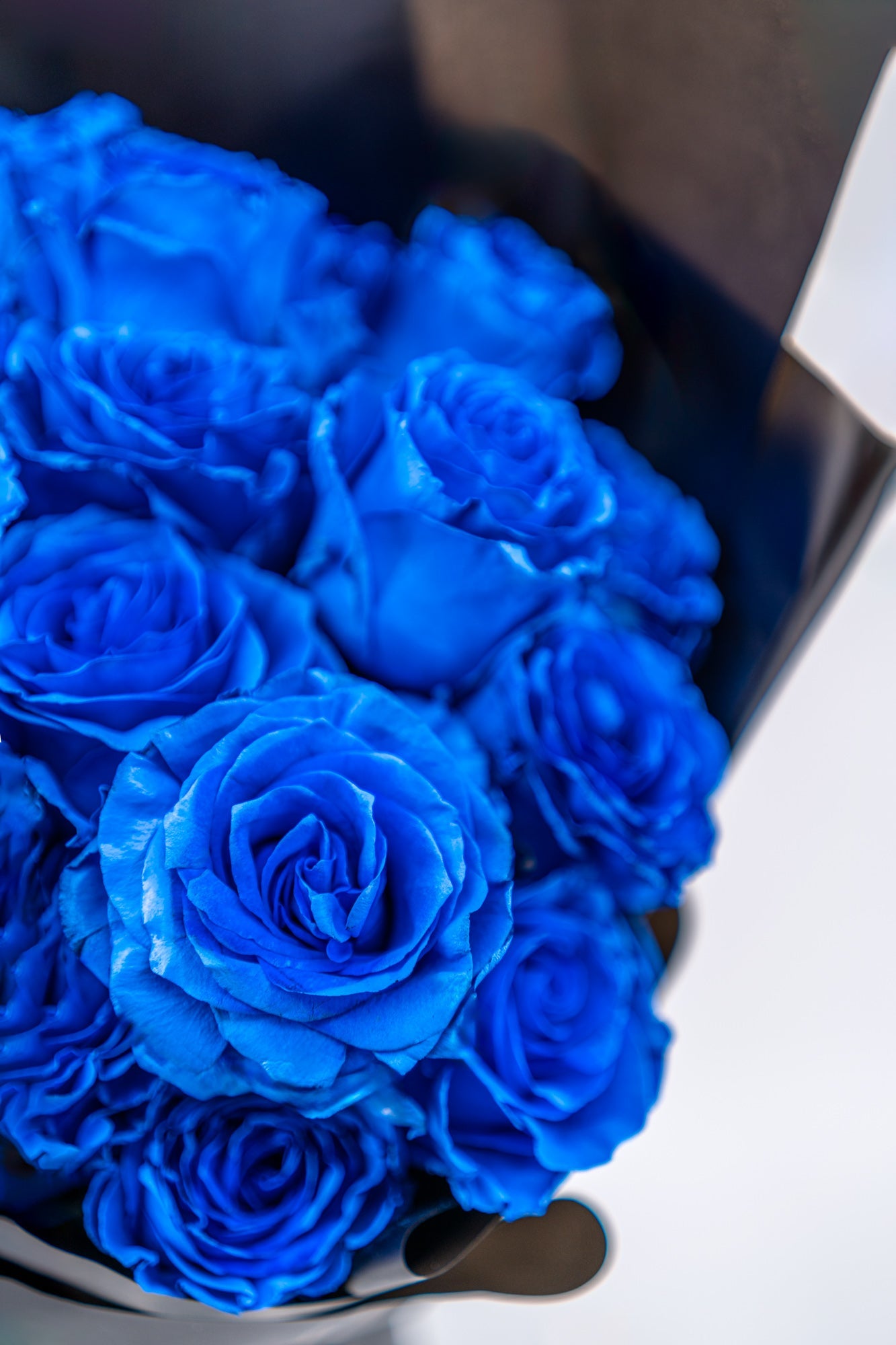 18支玫瑰 (藍色)