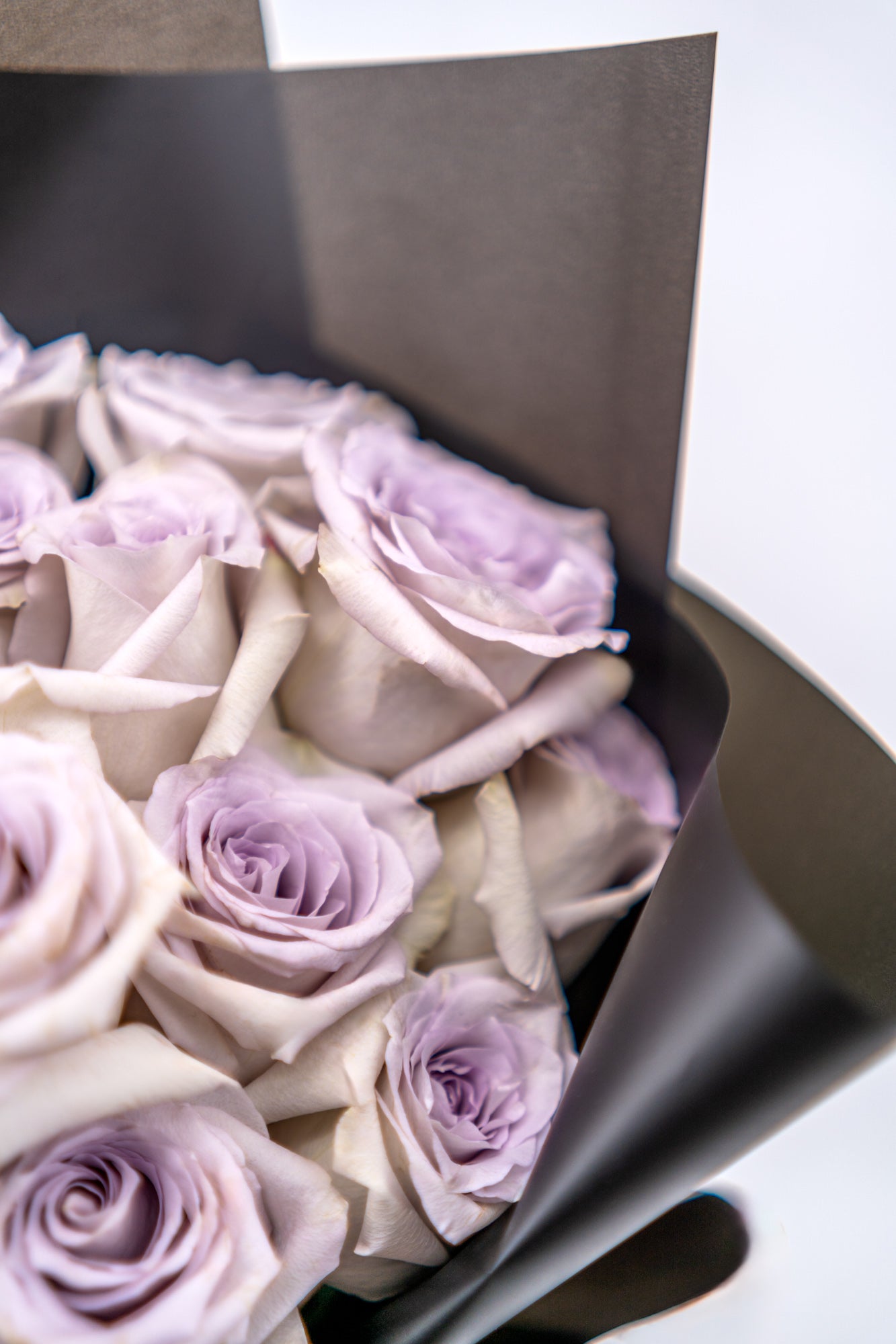 18支玫瑰 (紫色)