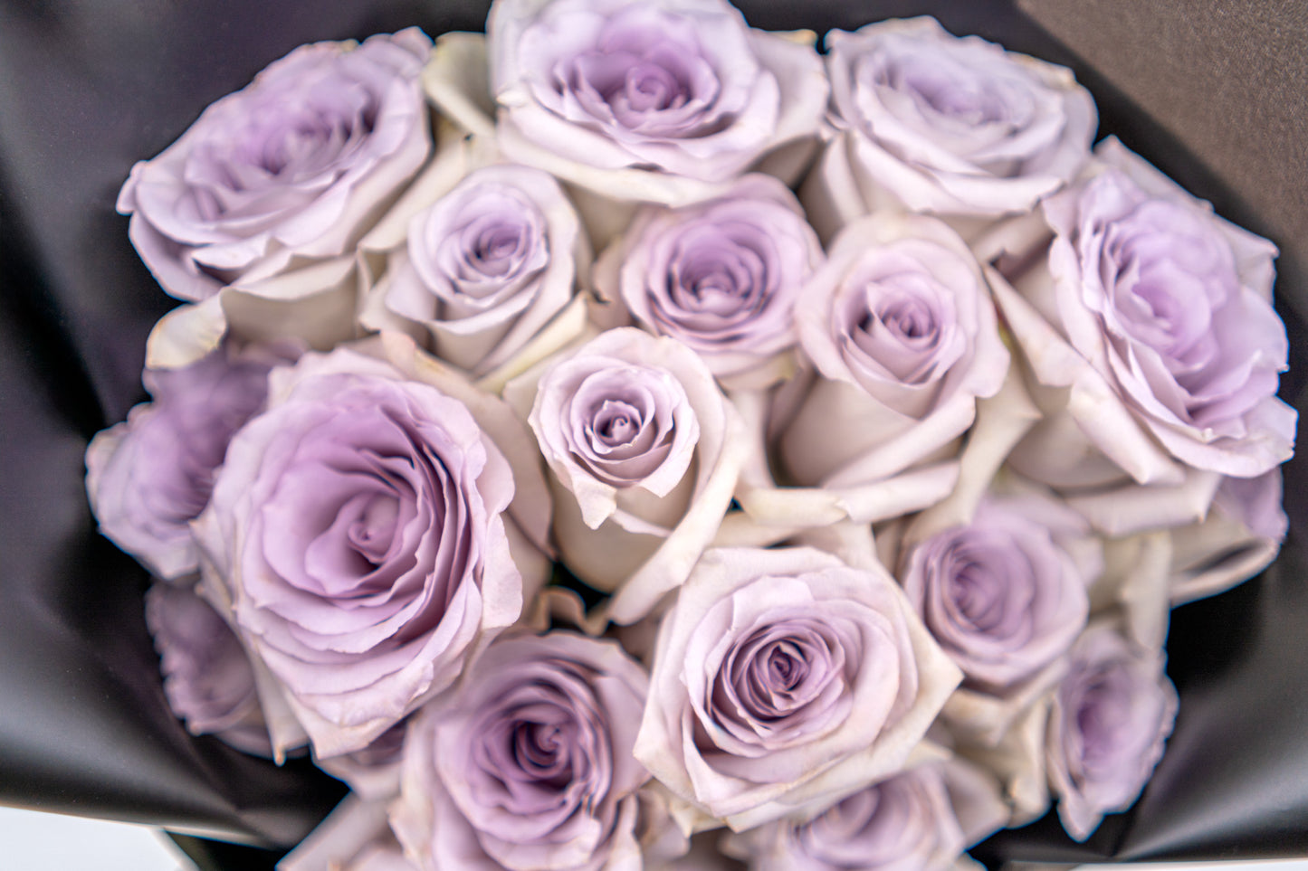 19支玫瑰 (紫色)