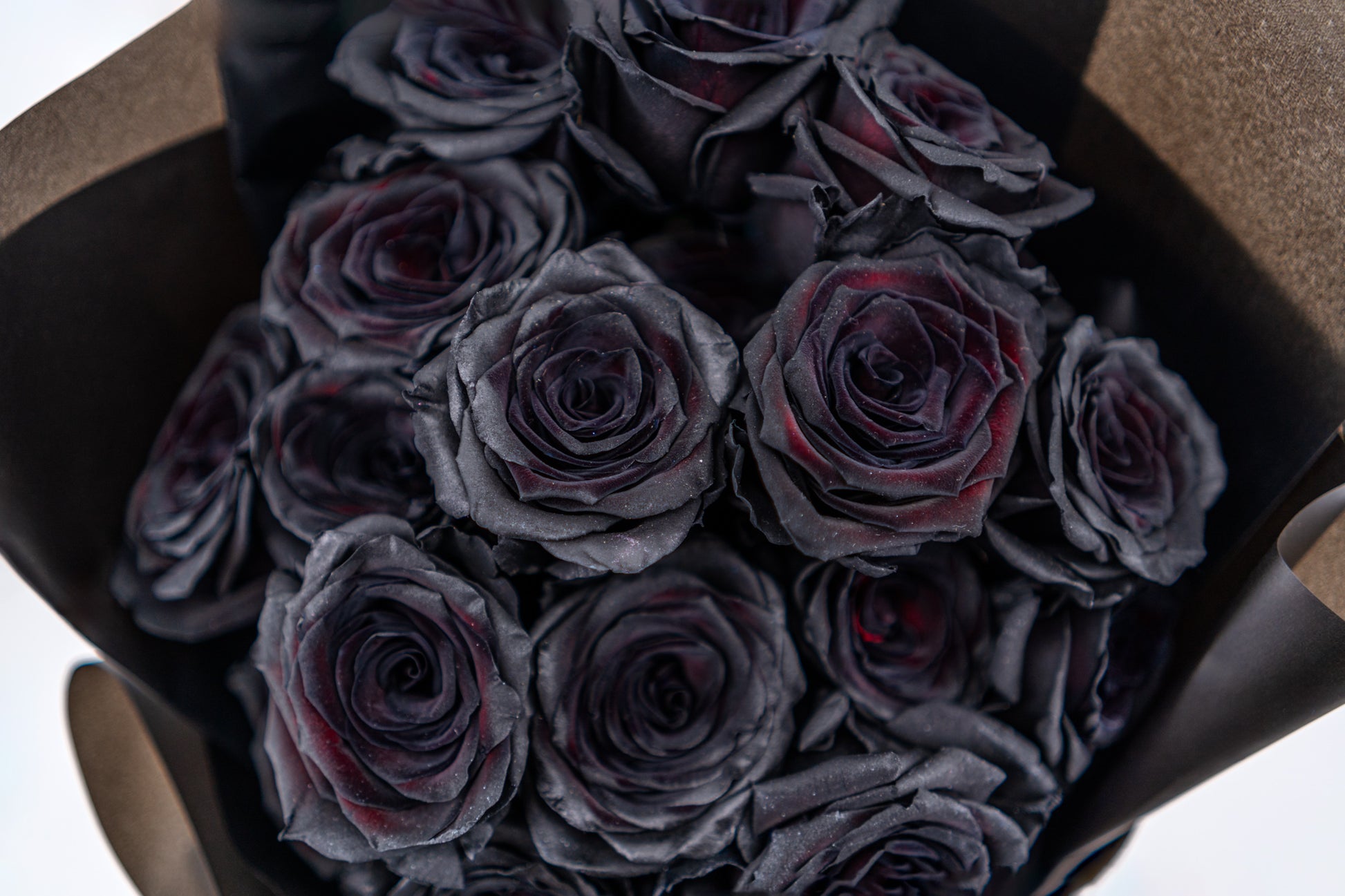 19支玫瑰 (黑色)