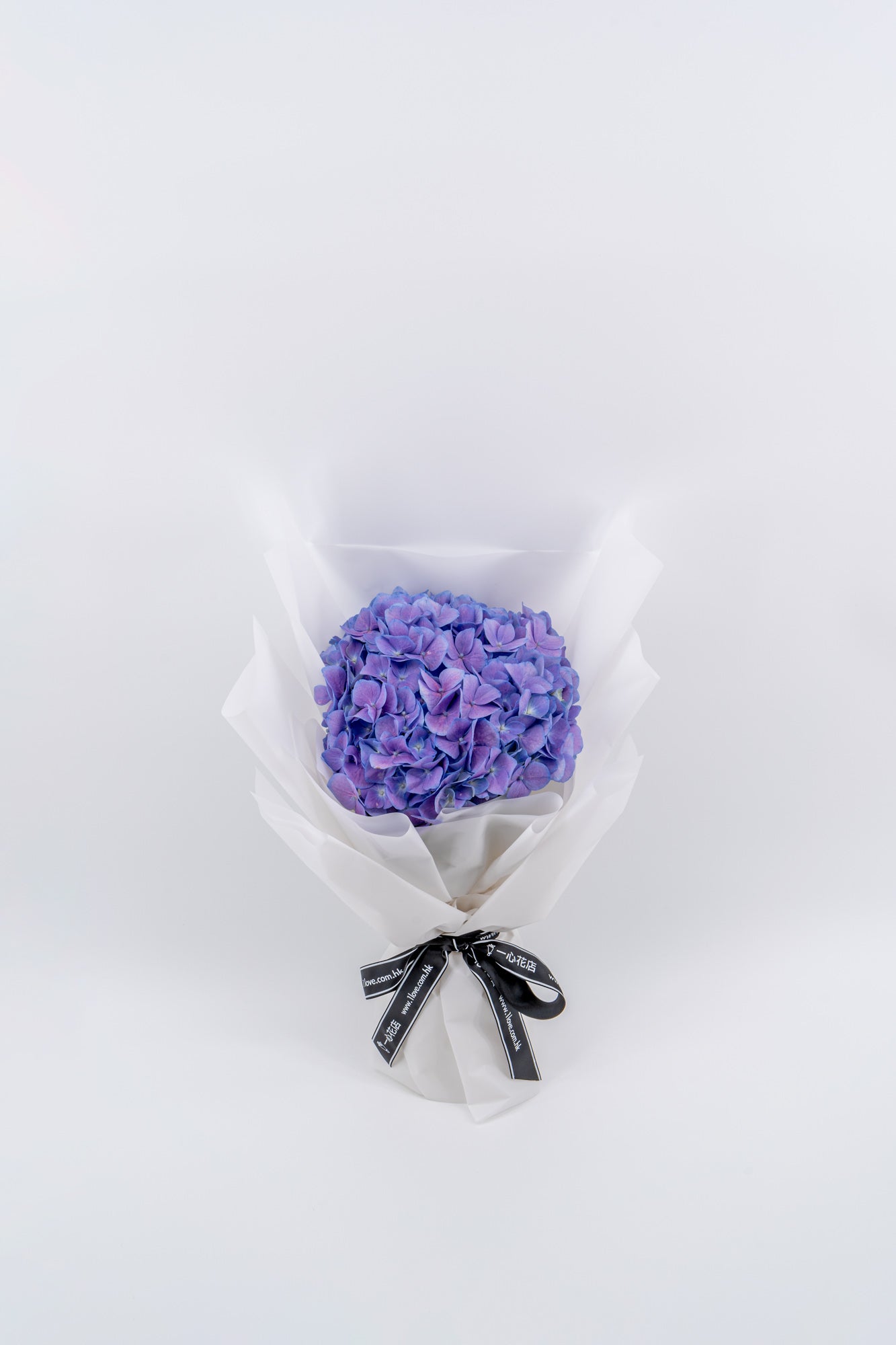紫色繡球花 (標準)