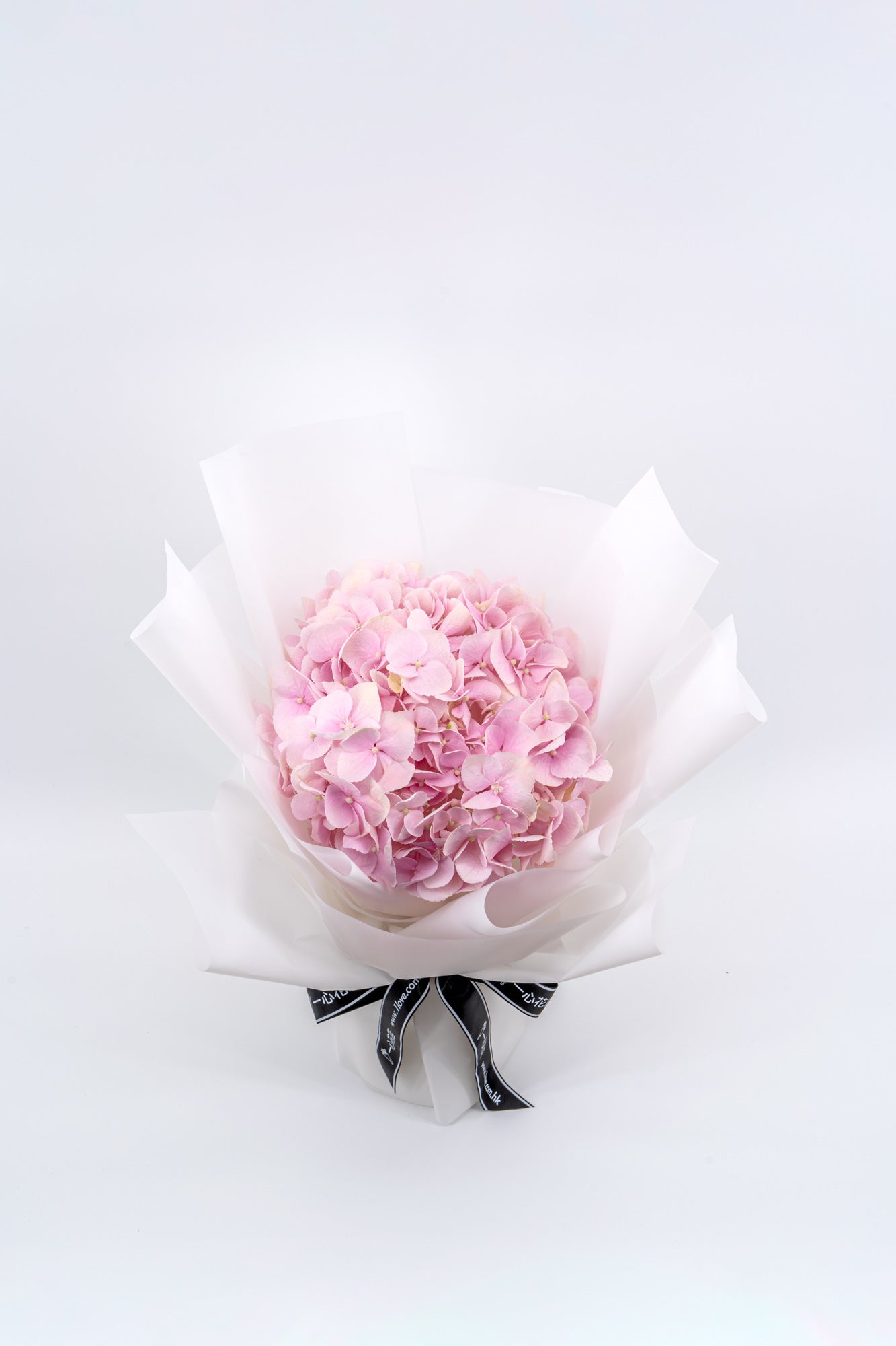 粉紅色繡球花 (標準)