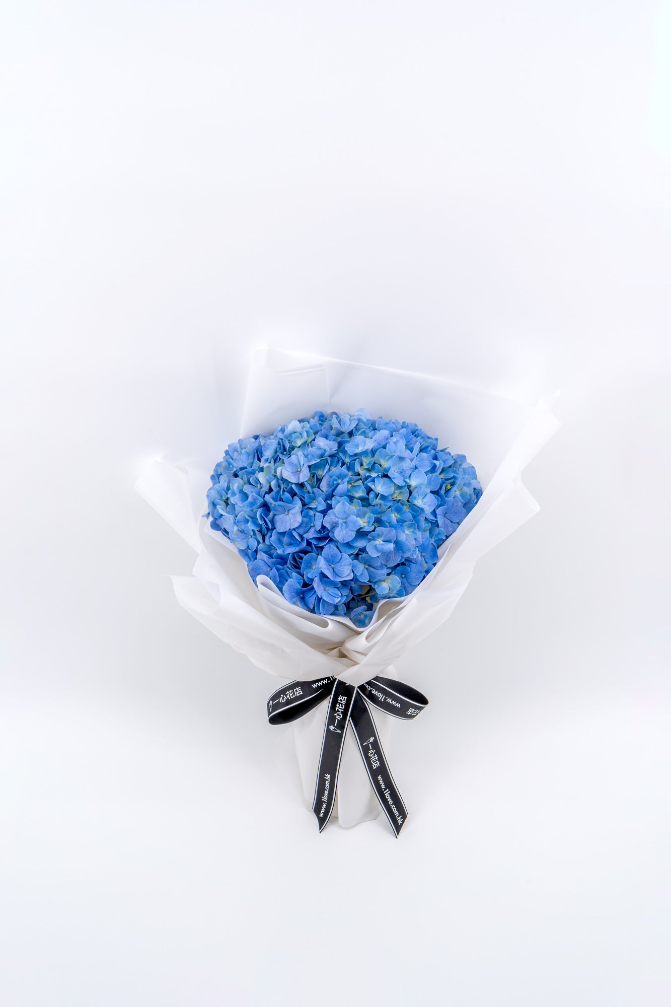 藍色繡球花 (標準)