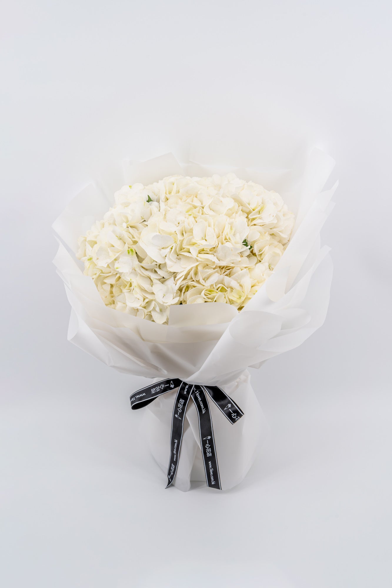 白色繡球花 (頂級)