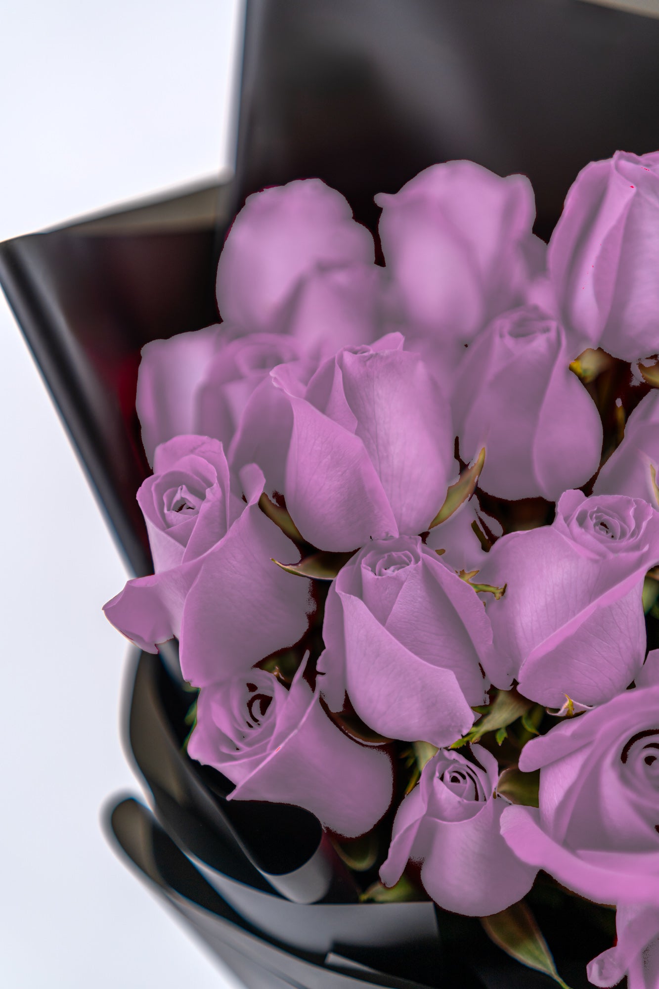 33支玫瑰 (紫色)