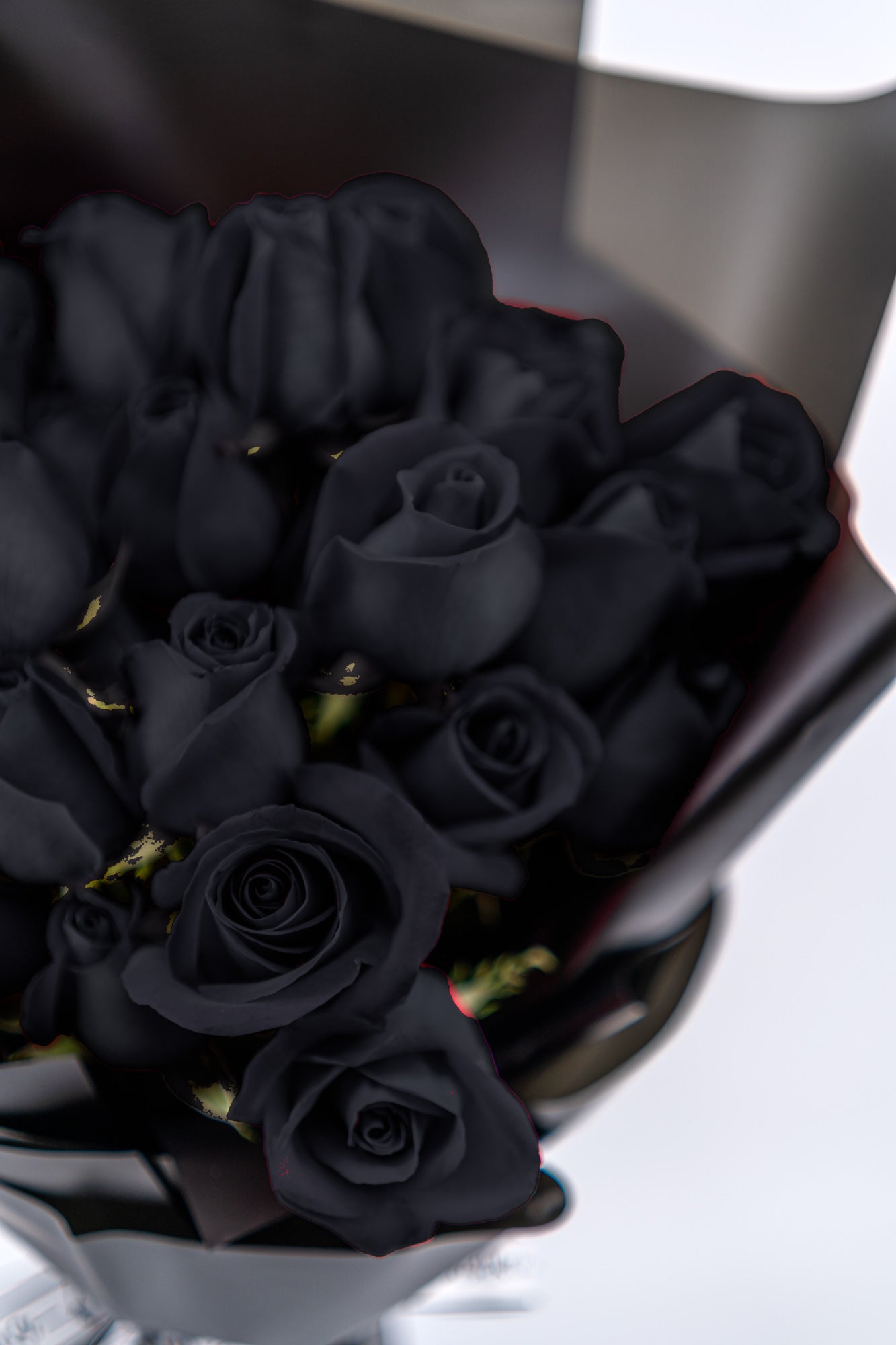 33支玫瑰 (黑色)