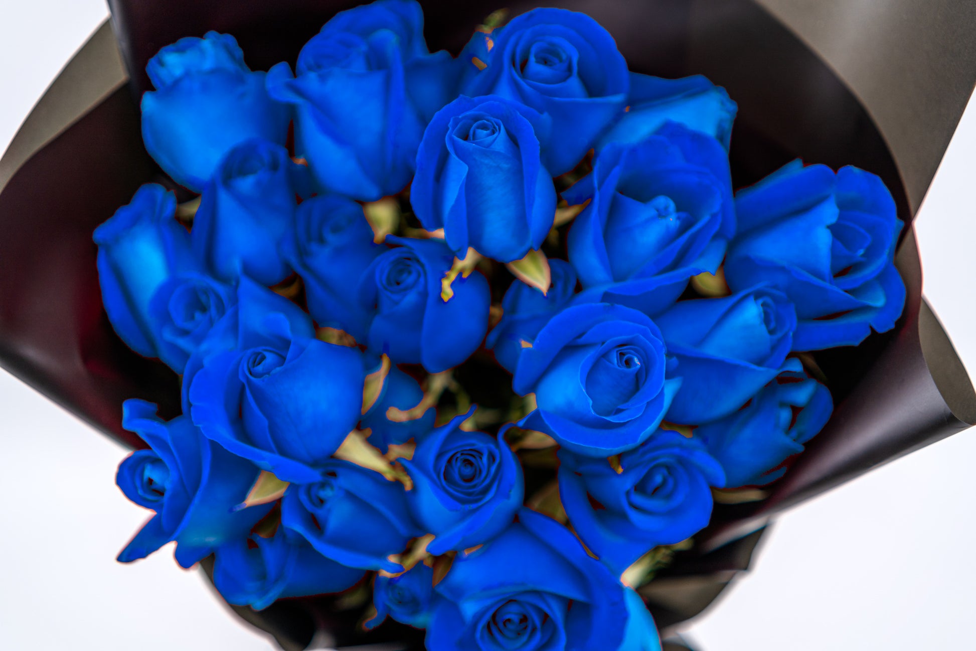 33支玫瑰 (藍色)