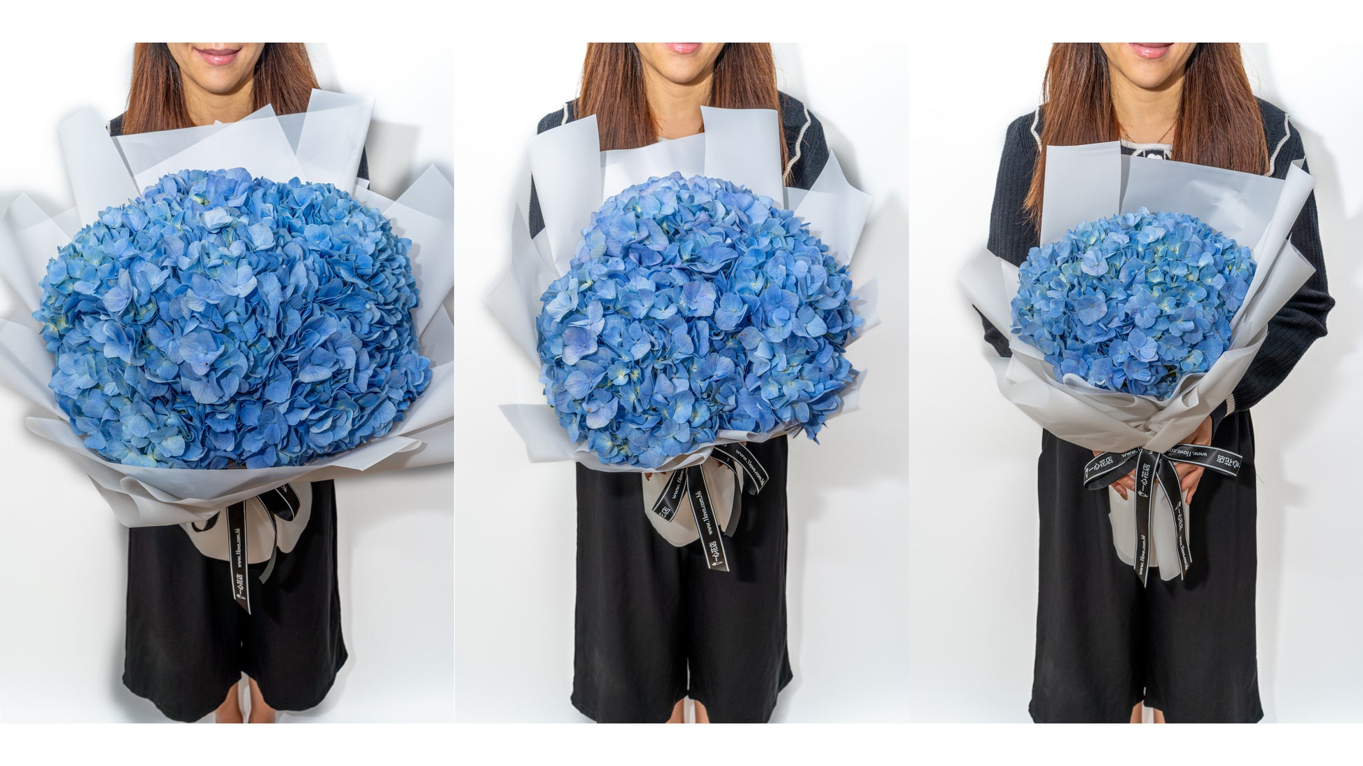 藍色繡球花