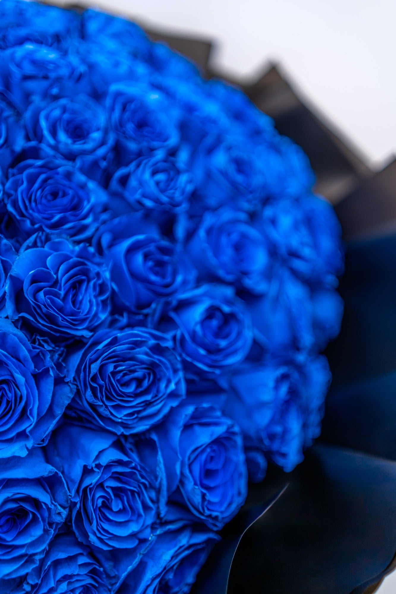 藍色玫瑰