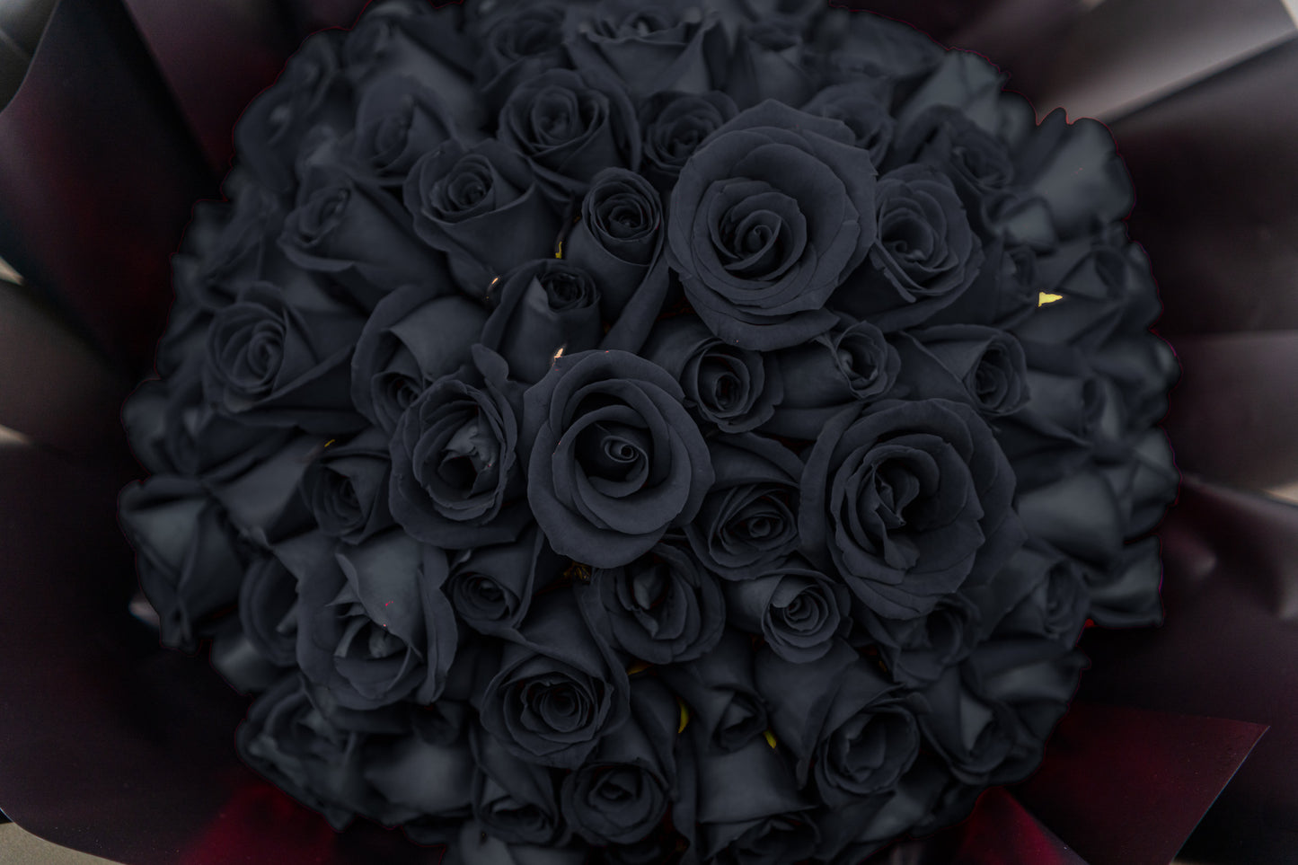 99支玫瑰 (黑色)