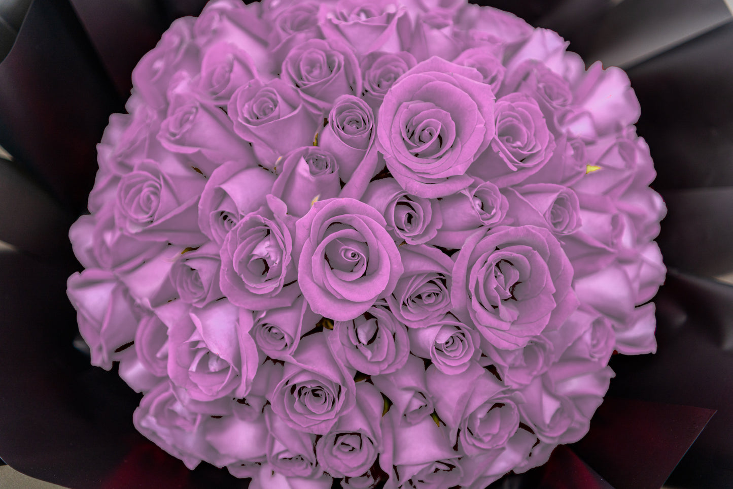 99支玫瑰 (紫色)