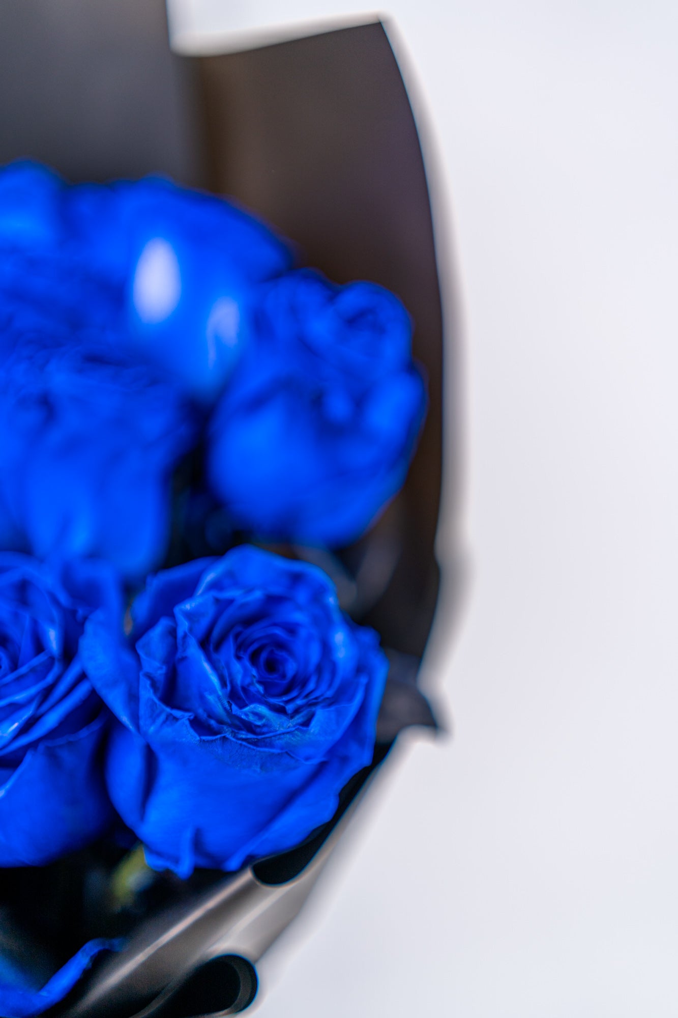 9支玫瑰 (藍色)