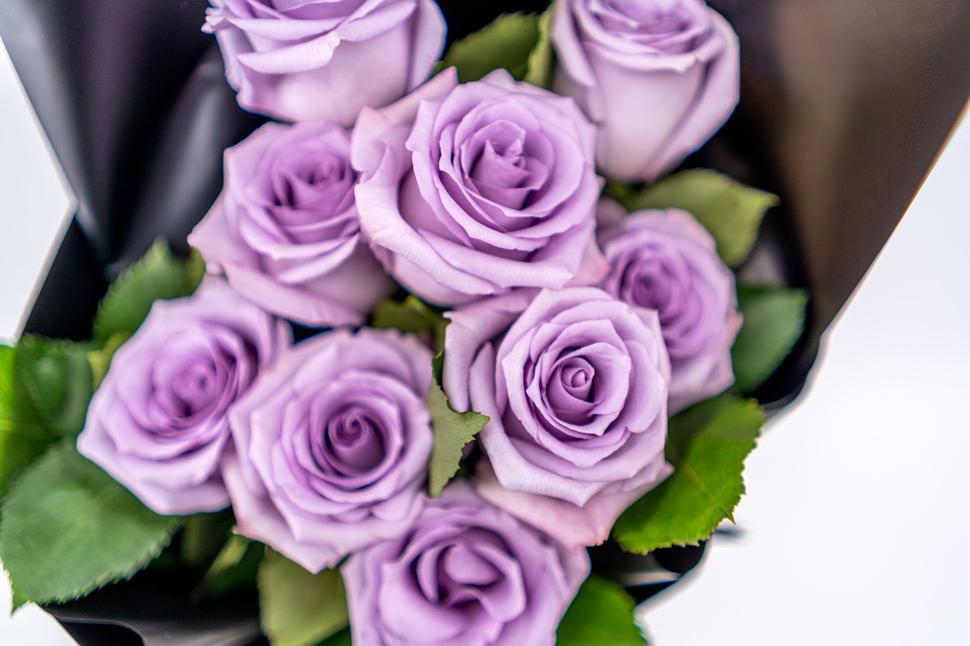 9支玫瑰 (紫色)